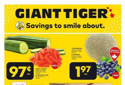 Giant Tiger (Atlantic) Flyer August 9 to 15