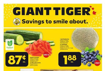Giant Tiger (ON) Flyer August 9 to 15