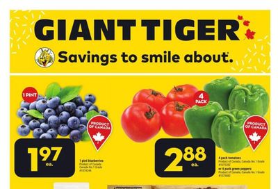 Giant Tiger (West) Flyer August 9 to 15