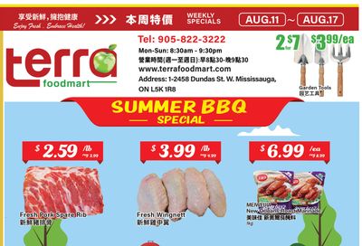 Terra Foodmart Flyer August 11 to 17