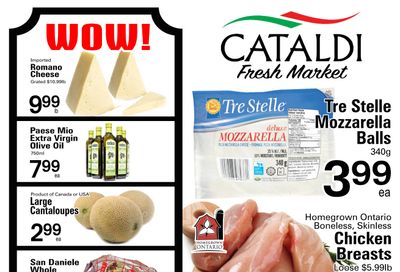 Cataldi Fresh Market Flyer August 16 to 22