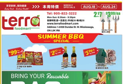 Terra Foodmart Flyer August 18 to 24
