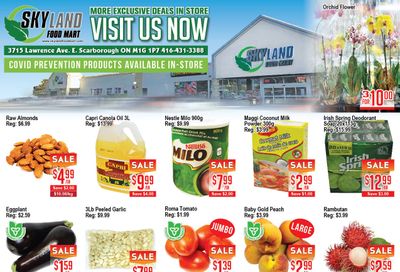 Skyland Food Mart Flyer August 18 to 24