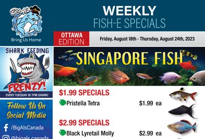 Big Al's (Ottawa East) Weekly Specials August 18 to 24