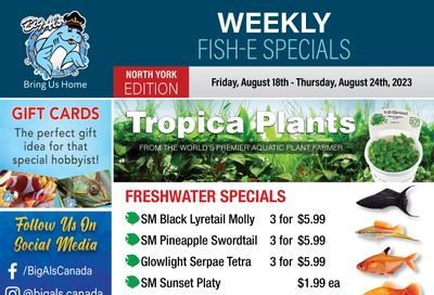 Big Al's (North York) Weekly Specials August 18 to 24