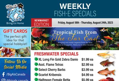 Big Al's (Newmarket) Weekly Specials August 18 to 24