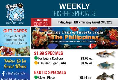 Big Al's (Hamilton) Weekly Specials August 18 to 24