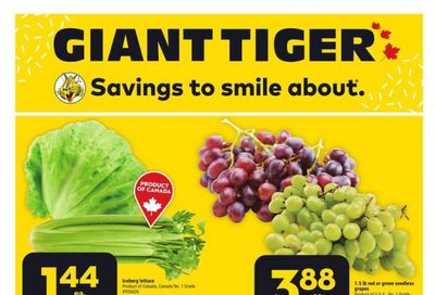 Giant Tiger (Atlantic) Flyer August 23 to 29