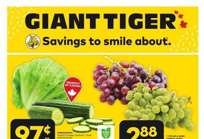 Giant Tiger (ON) Flyer August 23 to 29