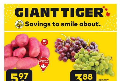 Giant Tiger (West) Flyer August 23 to 29