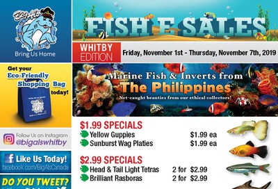 Big Al's (Whitby) Weekly Specials November 1 to 7