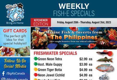 Big Al's (Kitchener) Weekly Specials August 25 to 31