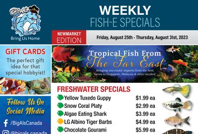Big Al's (Newmarket) Weekly Specials August 25 to 31