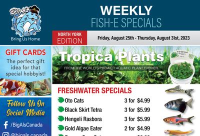 Big Al's (North York) Weekly Specials August 25 to 31