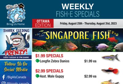 Big Al's (Ottawa East) Weekly Specials August 25 to 31