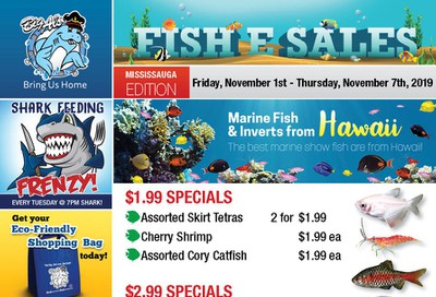 Big Al's (Mississauga) Weekly Specials November 1 to 7