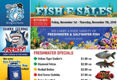 Big Al's (Kitchener) Weekly Specials November 1 to 7