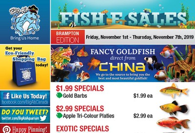 Big Al's (Brampton) Weekly Specials November 1 to 7