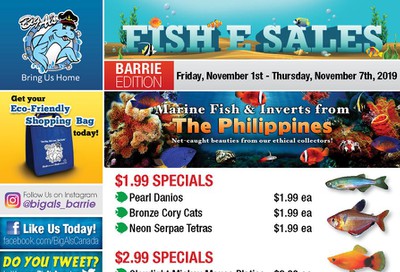 Big Al's (Barrie) Weekly Specials November 1 to 7