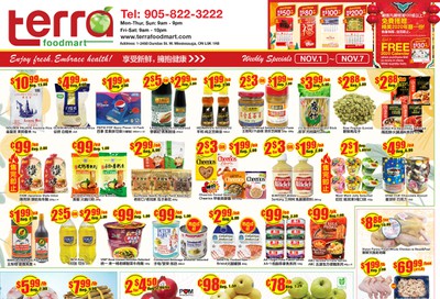Terra Foodmart Flyer November 1 to 7