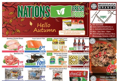 Nations Fresh Foods (Mississauga) Flyer November 1 to 7