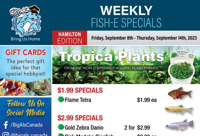 Big Al's (Hamilton) Weekly Specials September 8 to 14