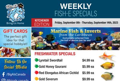 Big Al's (Kitchener) Weekly Specials September 8 to 14