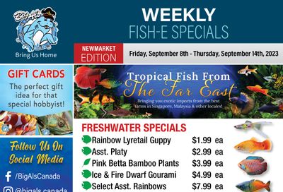 Big Al's (Newmarket) Weekly Specials September 8 to 14