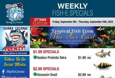 Big Al's (Ottawa East) Weekly Specials September 8 to 14