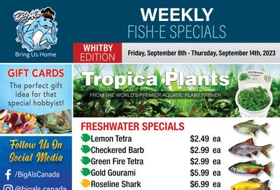 Big Al's (Whitby) Weekly Specials September 8 to 14