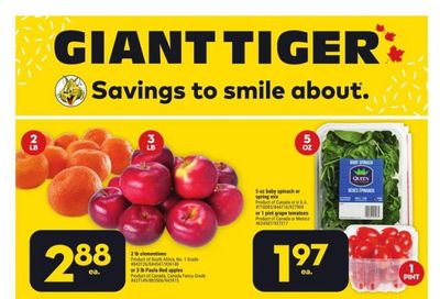 Giant Tiger (Atlantic) Flyer September 13 to 19