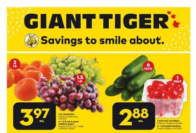 Giant Tiger (West) Flyer September 13 to 19