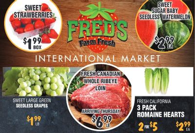Fred's Farm Fresh Flyer September 13 to 19