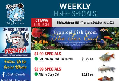 Big Al's (Ottawa East) Weekly Specials October 13 to 19