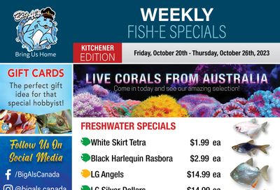 Big Al's (Kitchener) Weekly Specials October 20 to 26