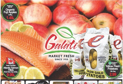 Galati Market Fresh Flyer November 1 to 14