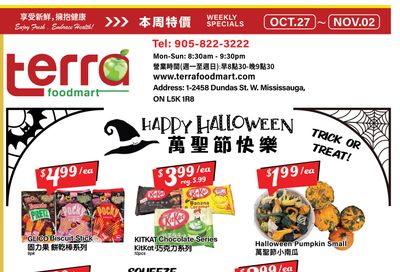 Terra Foodmart Flyer October 27 to November 2