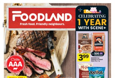 Foodland (ON) Flyer November 2 to 8