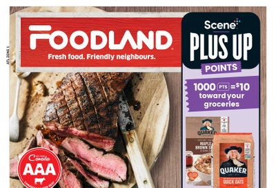 Foodland (Atlantic) Flyer November 2 to 8