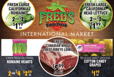 Fred's Farm Fresh Flyer November 1 to 7