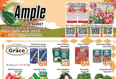 Ample Food Market (Brampton) Flyer November 3 to 9