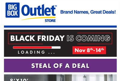 Big Box Outlet Store Flyer November 8 to 14