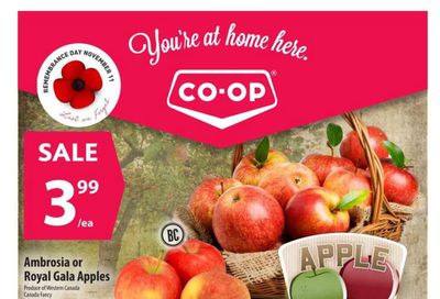 Co-op (West) Food Store Flyer November 9 to 15
