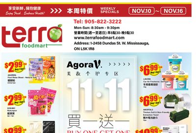 Terra Foodmart Flyer November 10 to 16
