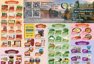 Oceans Fresh Food Market (Main St., Brampton) Flyer November 10 to 16