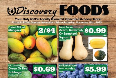 Discovery Foods Flyer November 12 to 18