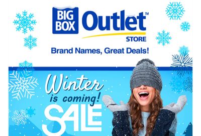 Big Box Outlet Store Flyer November 15 to 24