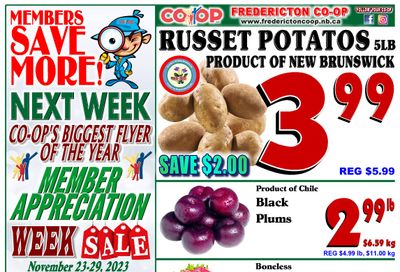 Fredericton Co-op Flyer November 16 to 22