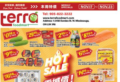 Terra Foodmart Flyer November 17 to 23