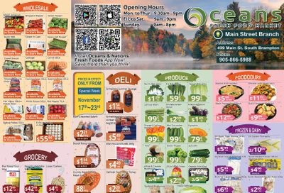 Oceans Fresh Food Market (Main St., Brampton) Flyer November 17 to 23